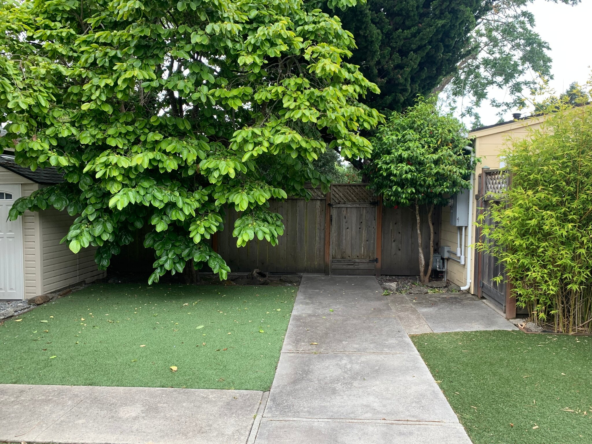 Building Photo - 415 Laurent St