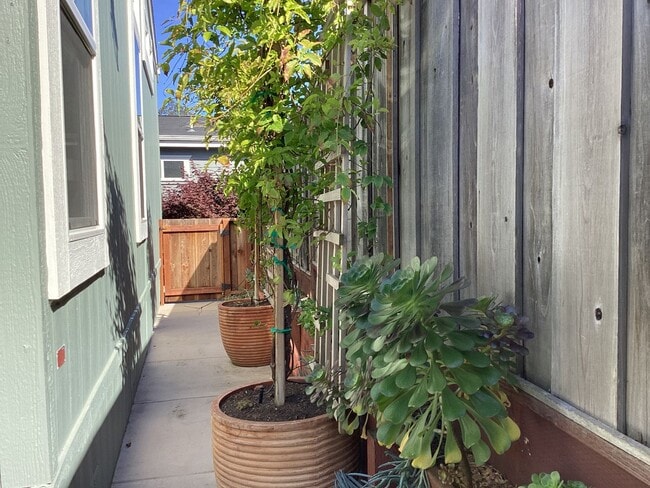 Building Photo - Live Oak