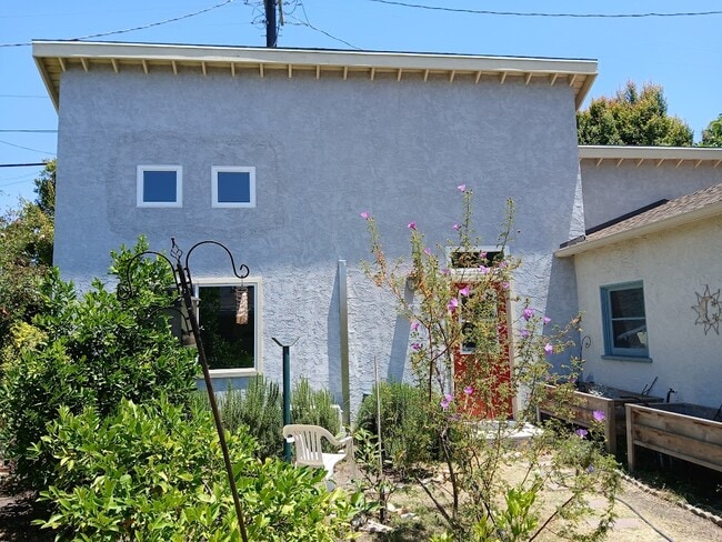 Flowers and citrus trees - 1810 Stearns Dr