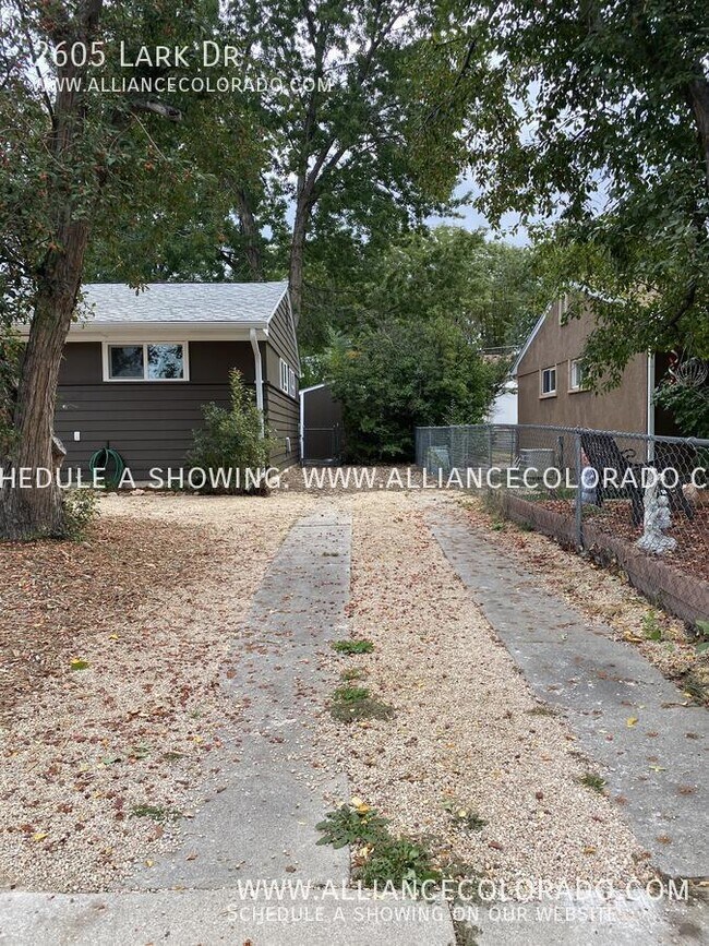 Building Photo - 2605 Lark Dr