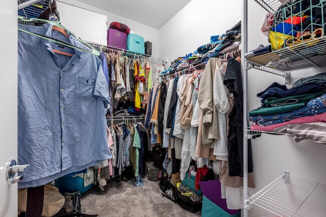 Building Photo - 6082 Carre Wy