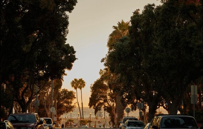 View from the front of the building - 159 Hollister Ave