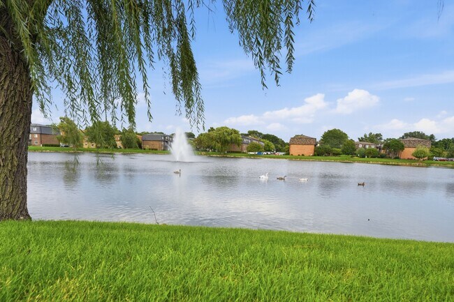 Building Photo - 9388 Bay Colony Dr