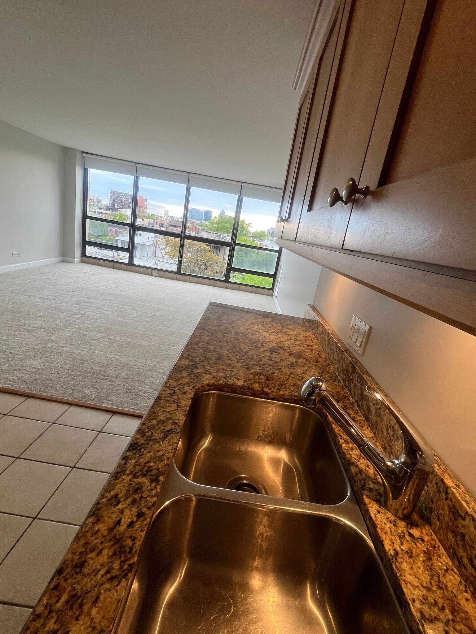 Kitchen - 1540 N La Salle Dr
