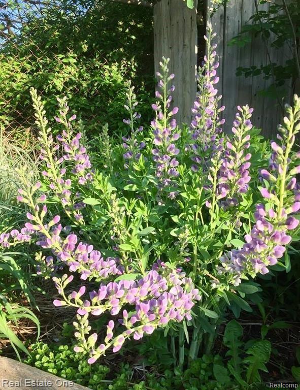 Building Photo - 5837 Folkstone Dr