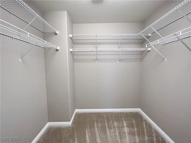 Building Photo - 3173 Bitetto Walk