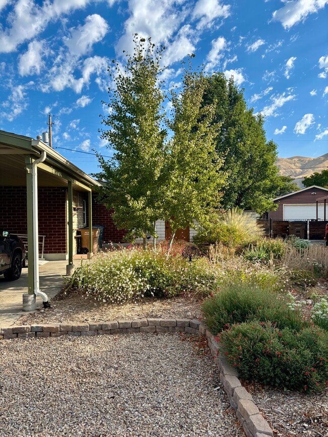 Building Photo - 1146 Taffeta Dr