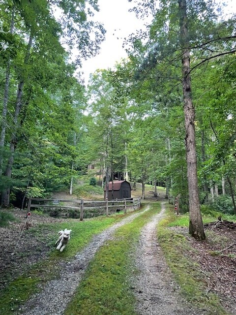 Building Photo - 779 Skeenah Springs Rd