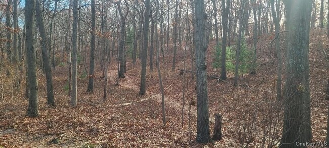 Building Photo - 143 Walter Ave