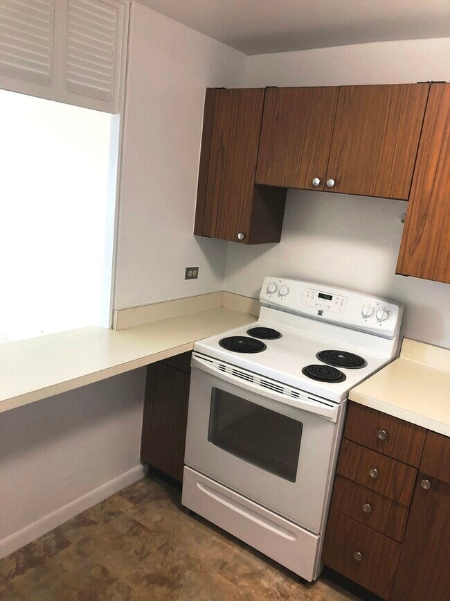 Building Photo - 1560 N Sandburg Terrace