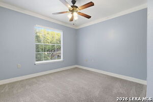 Building Photo - 6915 Raintree Forest