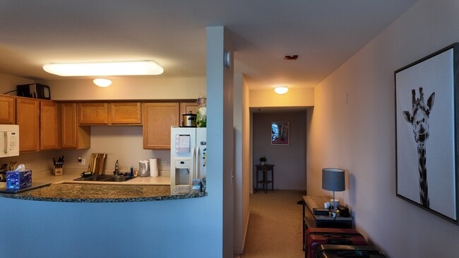 Building Photo - 345 N La Salle Dr