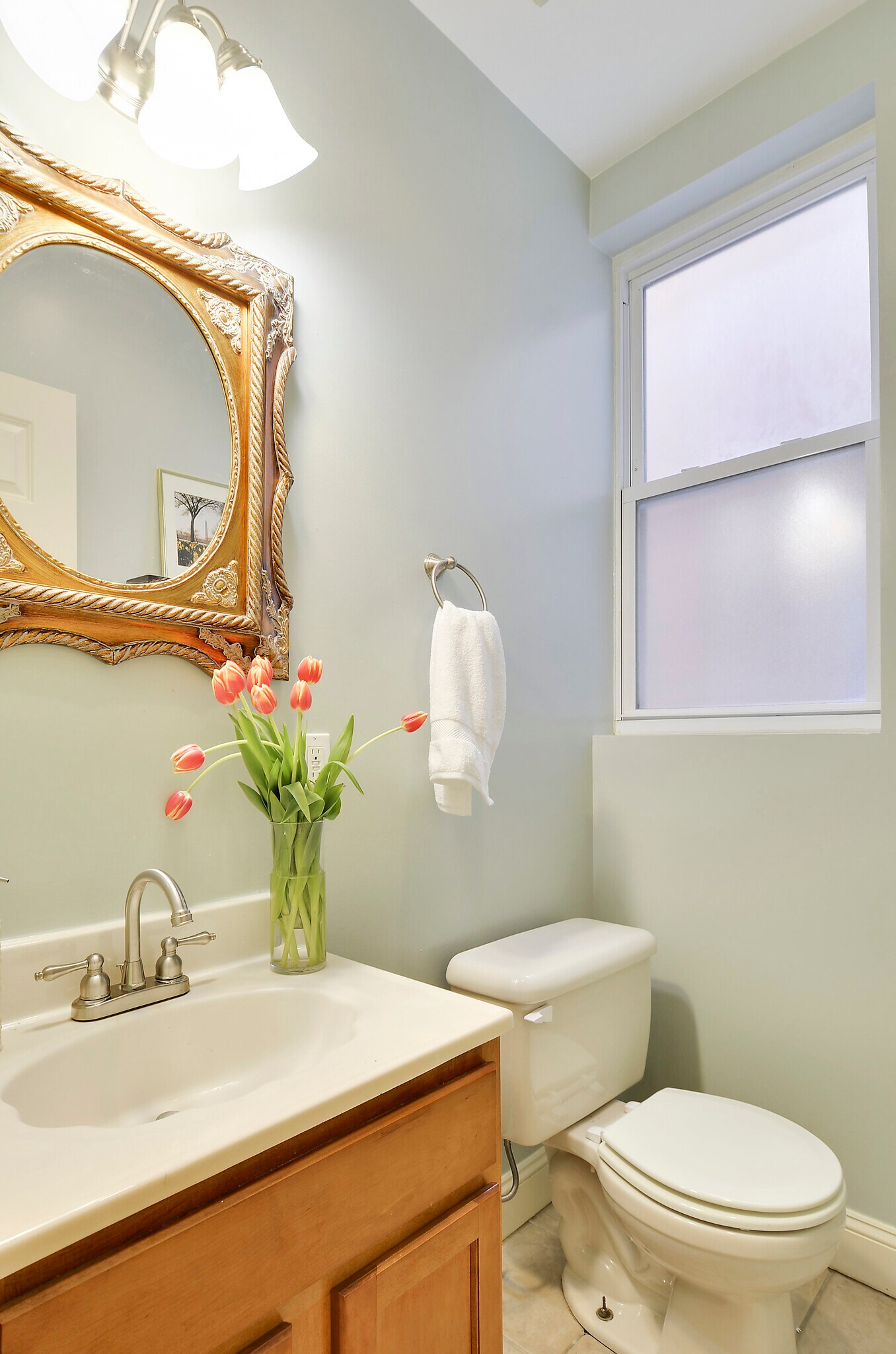 Powder room - 3538 10th St NW