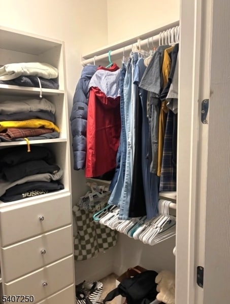 Building Photo - 95 Limerick Ln