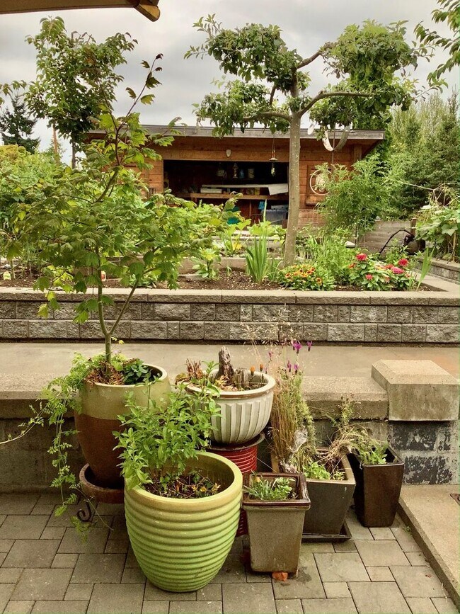 Building Photo - 3Bd/2Ba Seattle Home