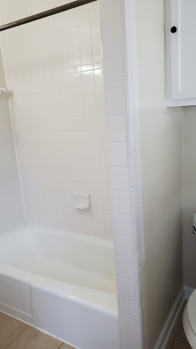 Bathtub - 752 Terrace View Dr