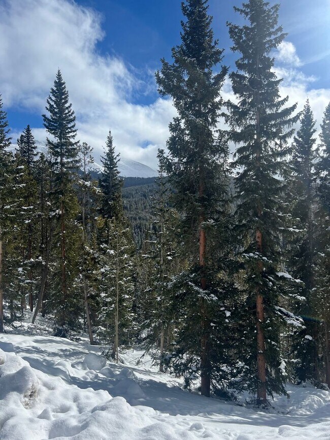 Building Photo - Gorgeous Lock-off on top of Mt Baldy, 2BD/2BA