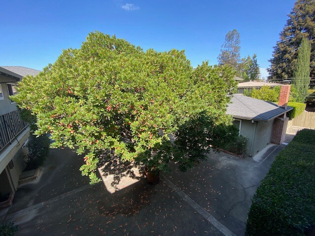 Building Photo - 1223 Cortez Dr