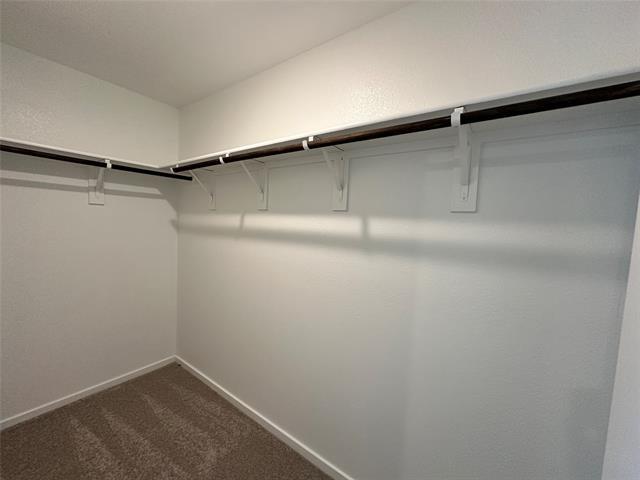 Building Photo - 3610 Scarlet Sage Wy