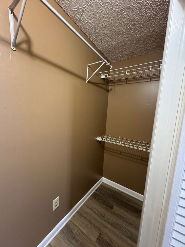 Building Photo - Black Mountain - Newly Renovated 3 Bedroom