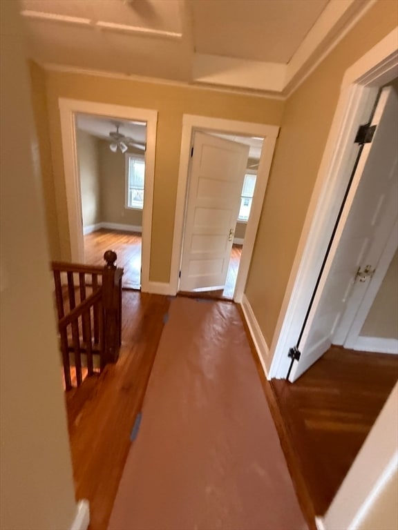 Building Photo - 31 Forest 31 FRST