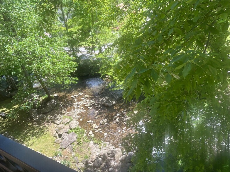 view of creek from balcony - 210 Roaring Fork Ext