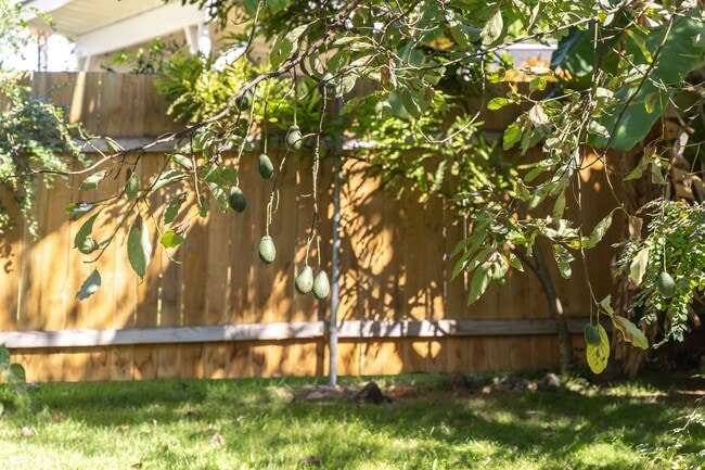 Building Photo - 59-018 Holawa St