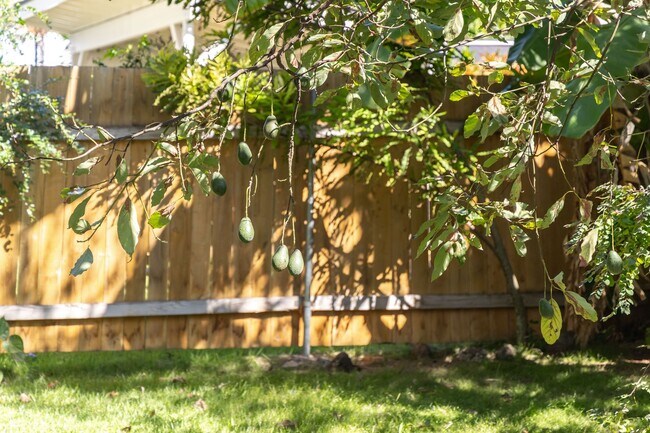 Building Photo - 59-18 Holawa Street