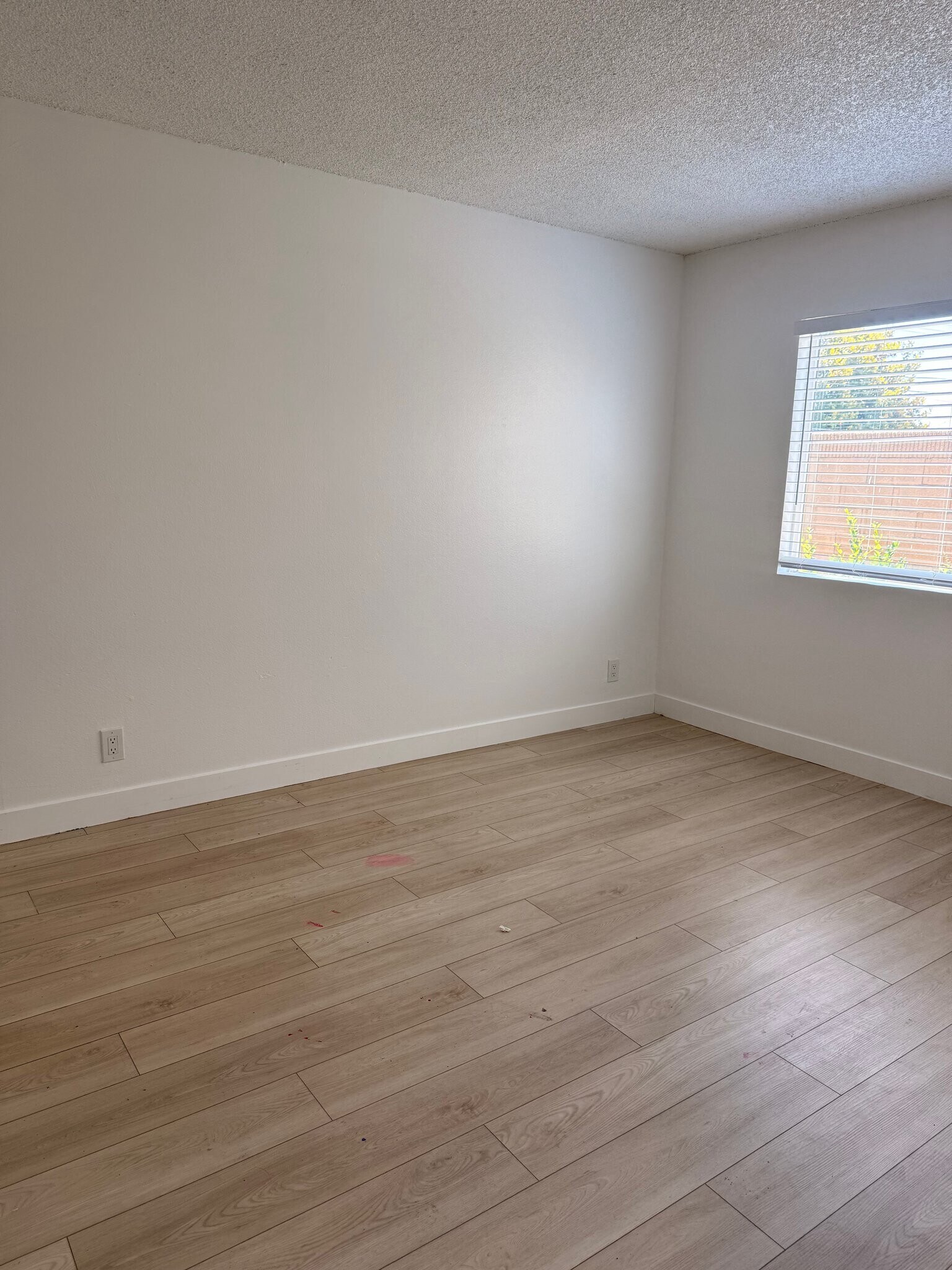 Building Photo - 5776 Rostrata Ave