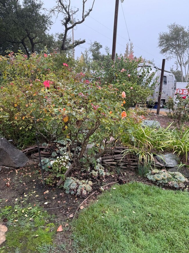 Building Photo - Experience the perfect blend of comfort, style, and country in this rare West County find!