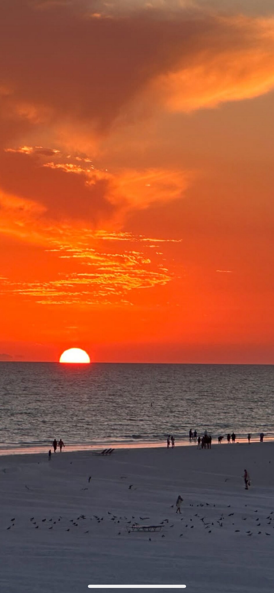 Building Photo - 1055 W Peppertree Dr