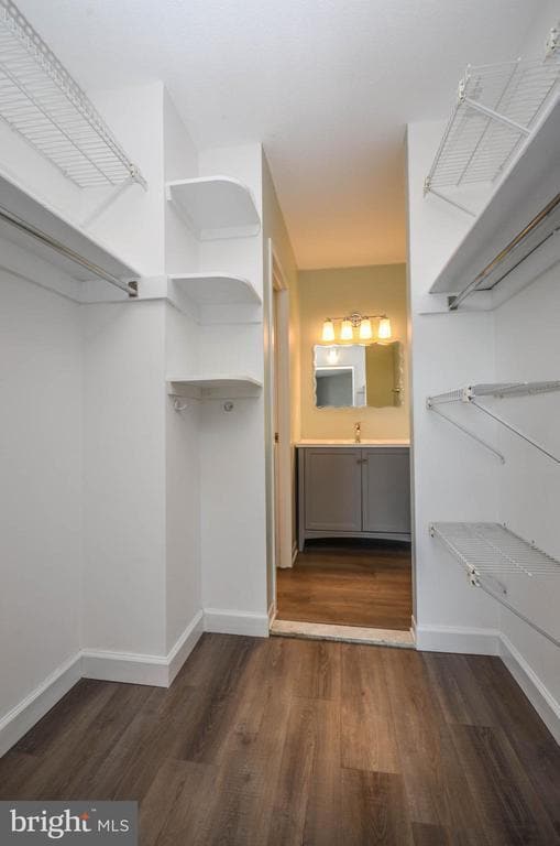 Building Photo - 4242 East-West Hwy