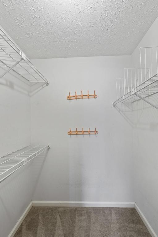 Building Photo - 709 Sandburg Pl
