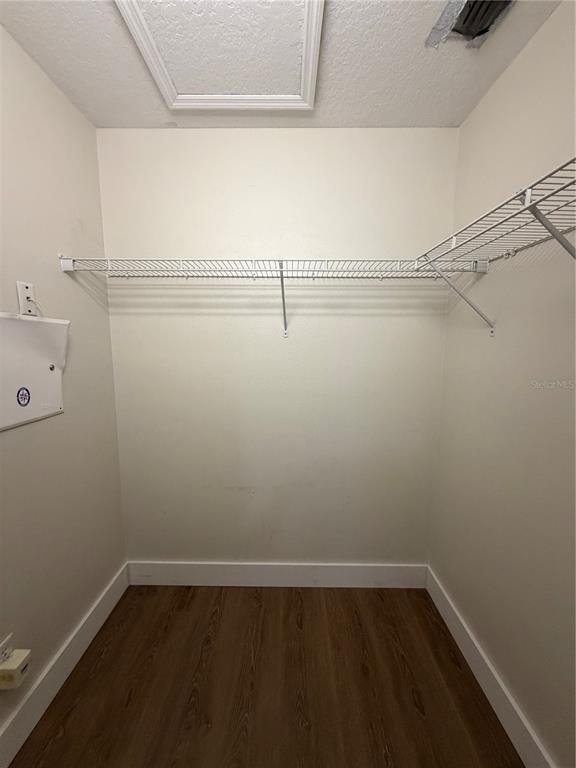 Building Photo - 3763 Collingwood Ln