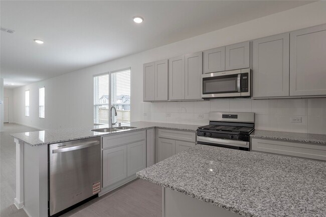 Building Photo - 905 Silver Buckle Ln
