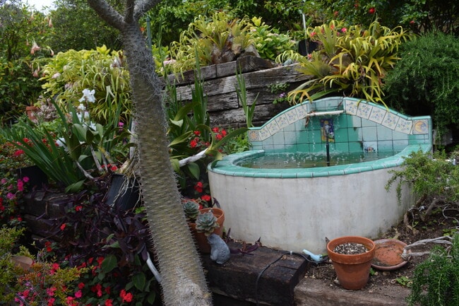 Building Photo - 32415 Aqua Vista Dr