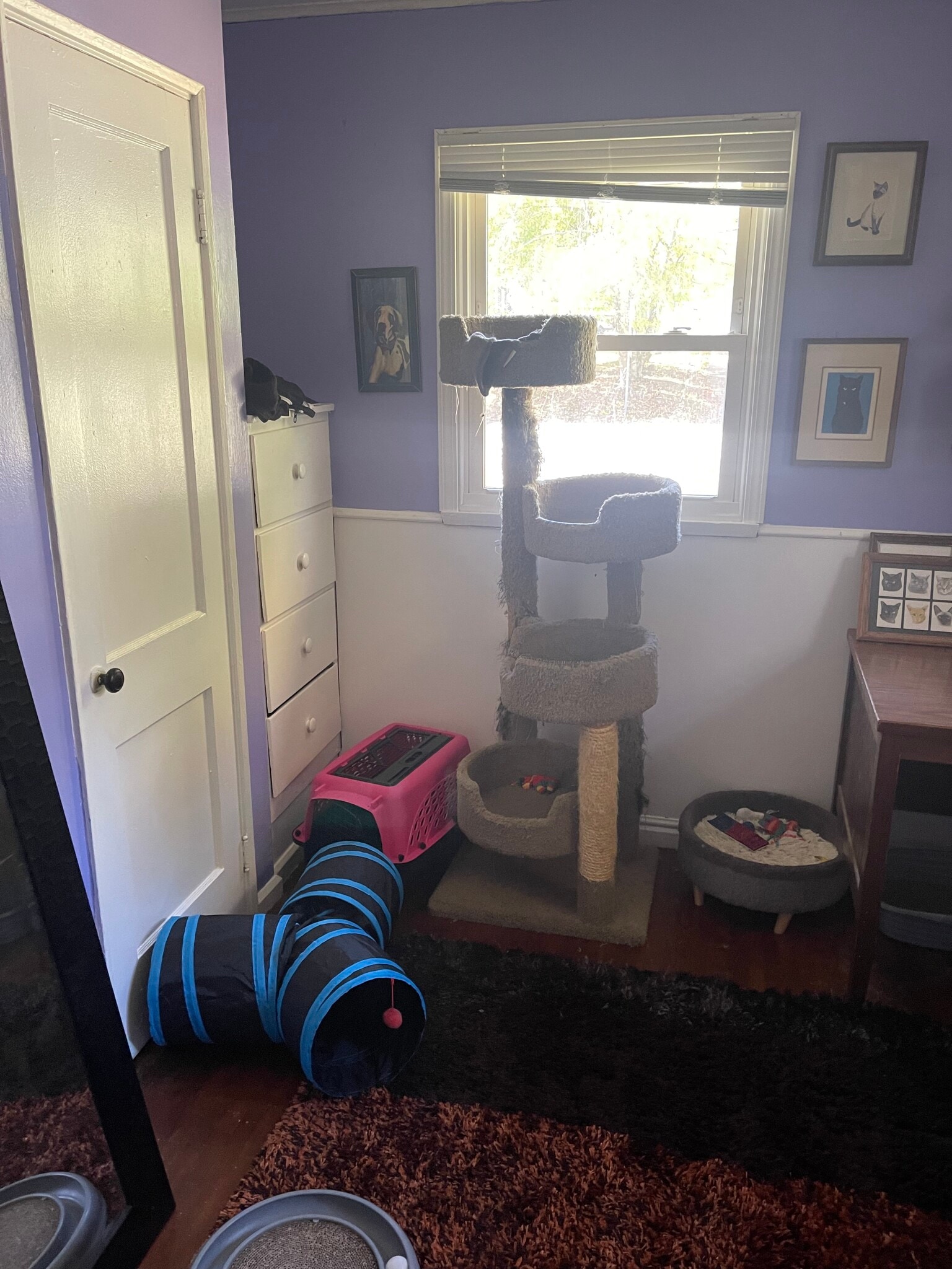 Building Photo - 813 S Mitchell St