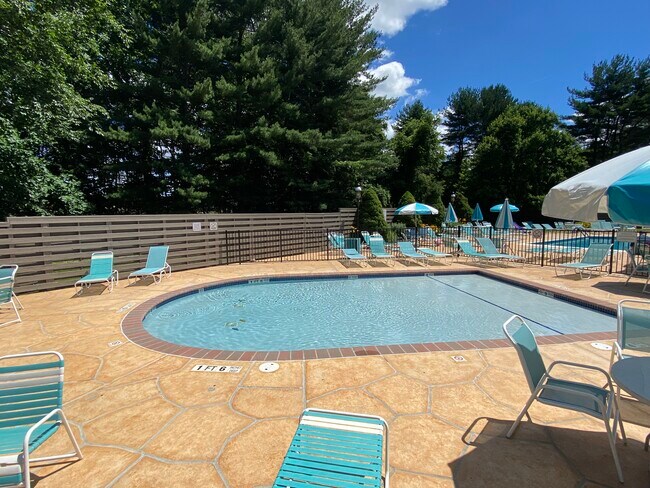 Kiddy Pool - 402 Green Mountain Rd