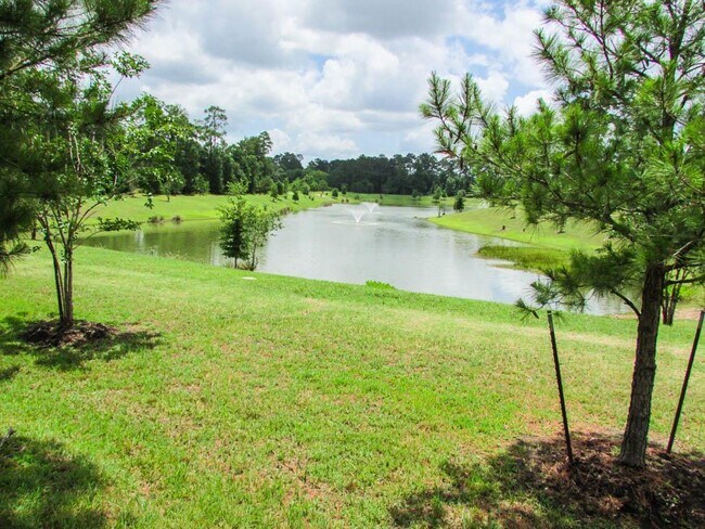 Building Photo - 14562 San Pietro Dr