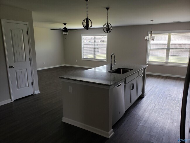 Building Photo - 217 Hydra Cir