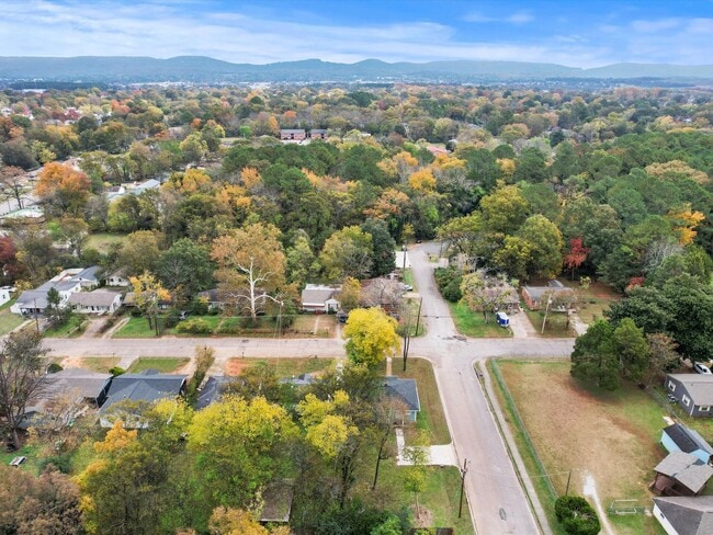 Building Photo - Fully Remodeled Corner-Lot Home Just Minutes from RSA & I-565!