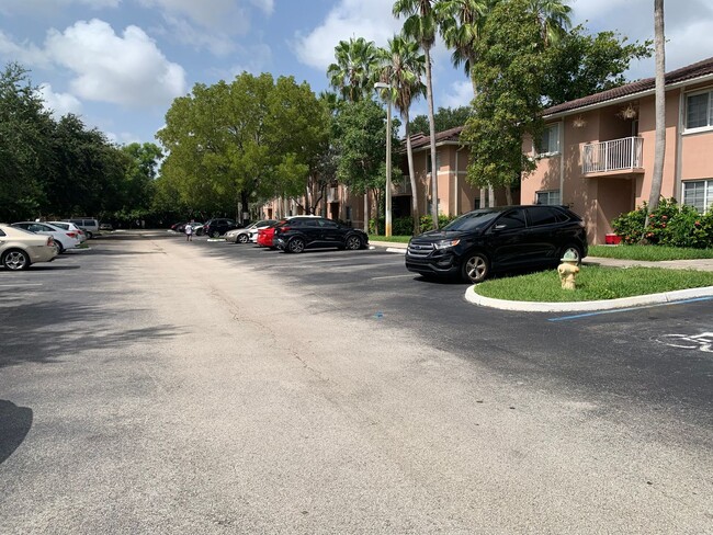 Building Photo - 3221 Sabal Palm Manor
