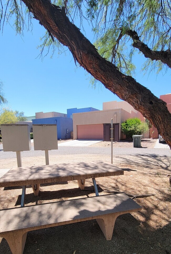 Building Photo - Pet friendly Civano home