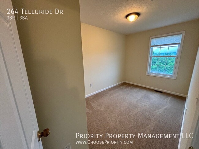 Building Photo - 264 Telluride Drive