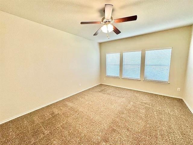 Building Photo - 3020 Tamarack Ln