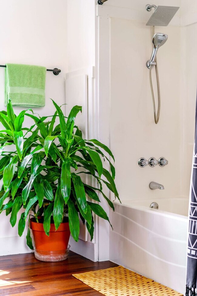 Building Photo - 241 W Water St