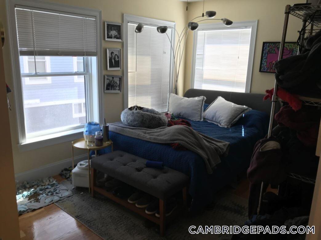 Building Photo - 116-118 Holland St.