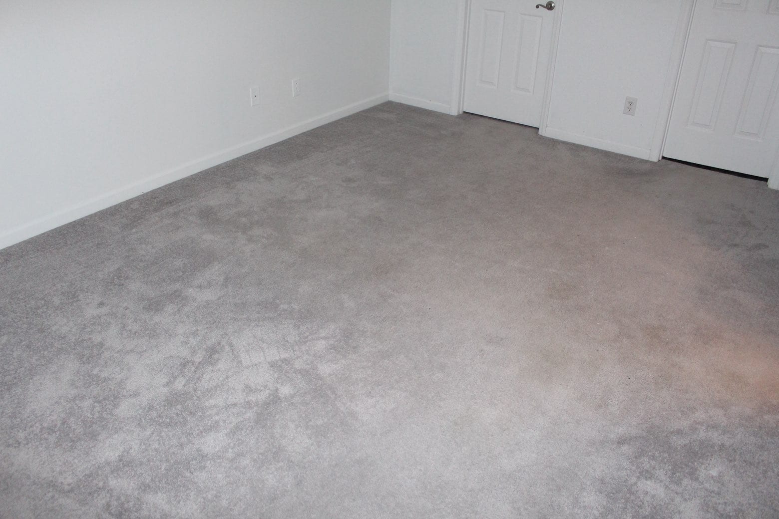 Building Photo - 7312 Brighton Village Dr