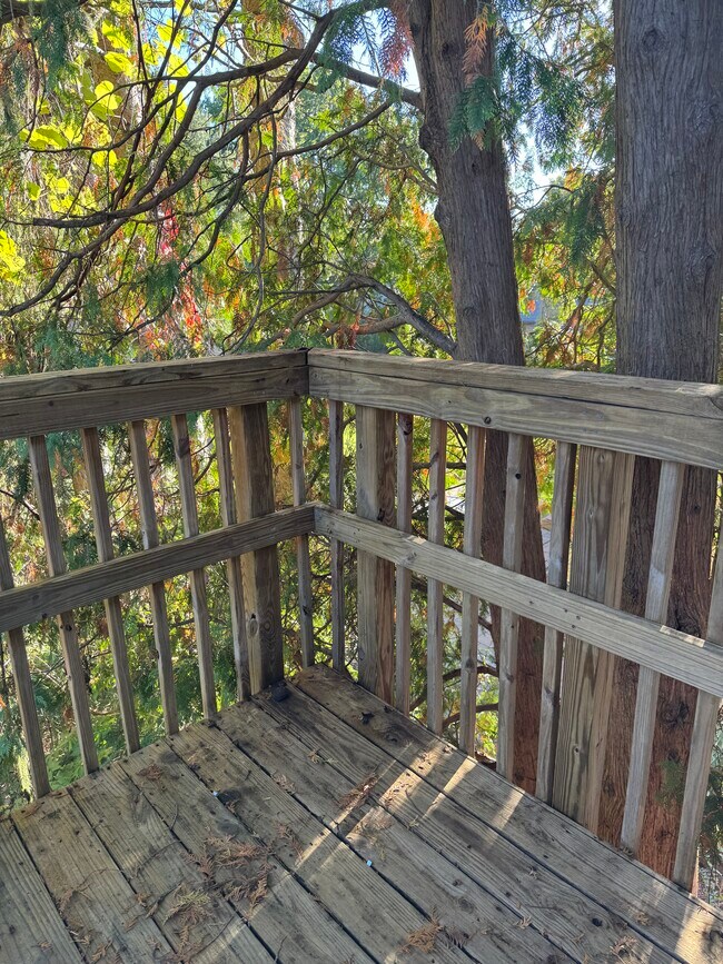 Building Photo - 218 Pine Tree Ave