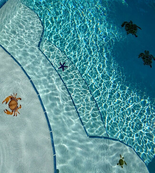 Building Photo - Palm Bay Pool Home Stunner!